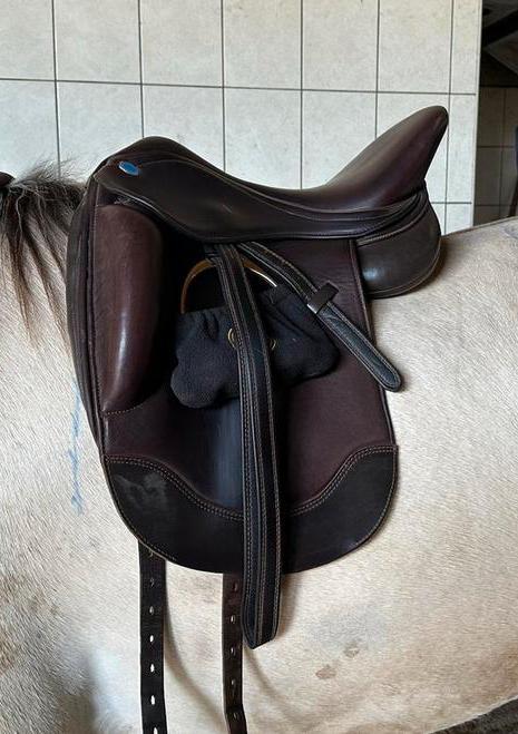 Sella Velluto 17 inch dressuurzadel Donkerbruin MW/W boom, Dieren en Toebehoren, Paarden en Pony's | Zadels, Dressuur, Ophalen of Verzenden