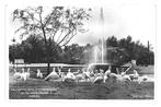 952533	Rhenen	Utr 1942 Ouwehands Dierenpark Utr	dierentuin Z, Ophalen of Verzenden, 1940 tot 1960, Gelopen, Utrecht