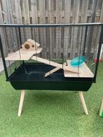 Royale hamsterhok op pootjes compleet met accessoires etc, Dieren en Toebehoren, Gebruikt, 75 tot 110 cm, Ophalen, Minder dan 60 cm