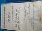politie diploma  1919, Verzamelen, Ophalen of Verzenden, Gebruikt