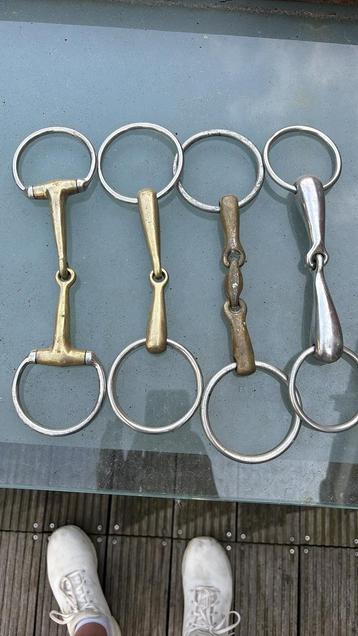 Hoofdstel, bit, single, paardendeken en veel meer beschikbaar voor biedingen