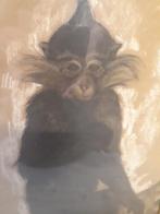 Tekening 28x47 cm, Antiek en Kunst, Ophalen