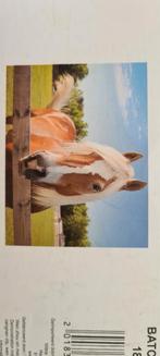 SINT of KERST TIP: Daimond paintings paarden, Ophalen of Verzenden, Knutselen