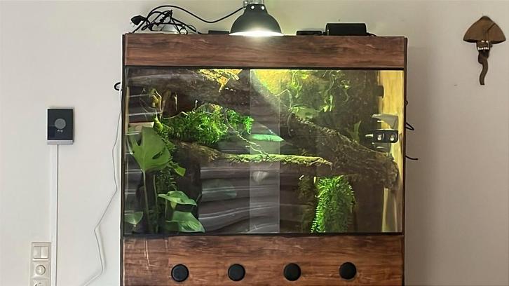 Terraruim te koop (zelf gemaakt), Dieren en Toebehoren, Reptielen en Amfibieën | Toebehoren, Ophalen