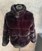 Giorgia mooie zwarte korte fake fur bontjas mt 36, Kleding | Dames, Jassen | Winter, Giorgia, Zwart, Ophalen of Verzenden, Zo goed als nieuw