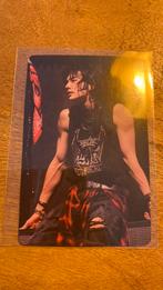 Stray kods foto cart hunjin, Ophalen of Verzenden, 2000 tot heden, Zo goed als nieuw, Overige formaten