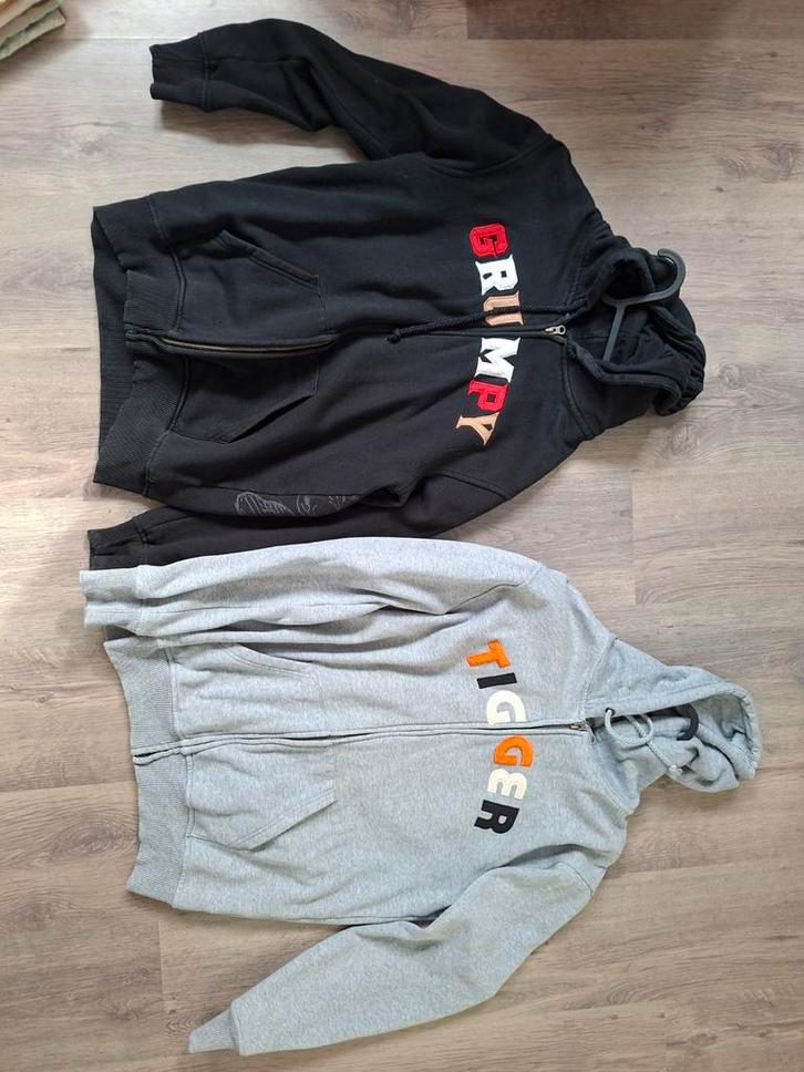 2 Disney vesten: Grumpy & Tigger - Maat M, Kleding | Heren, Truien en Vesten, Gedragen, Maat 48/50 (M), Zwart, Ophalen of Verzenden