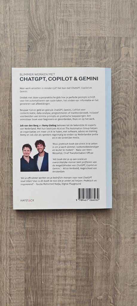 Slimmer werken met ChatGPT, CoPilot, Gemini - Remy Gieling, Boeken, Informatica en Computer, Ophalen of Verzenden, Zo goed als nieuw