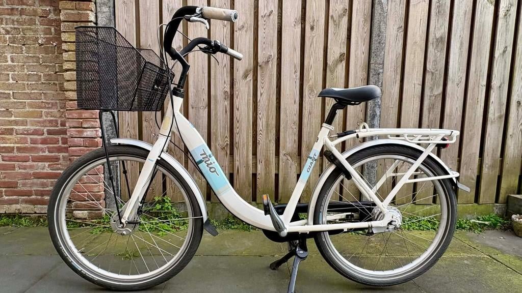 Giant Mio Moederfiets, Fietsen en Brommers, Ophalen, Gebruikt, Giant, Mandje