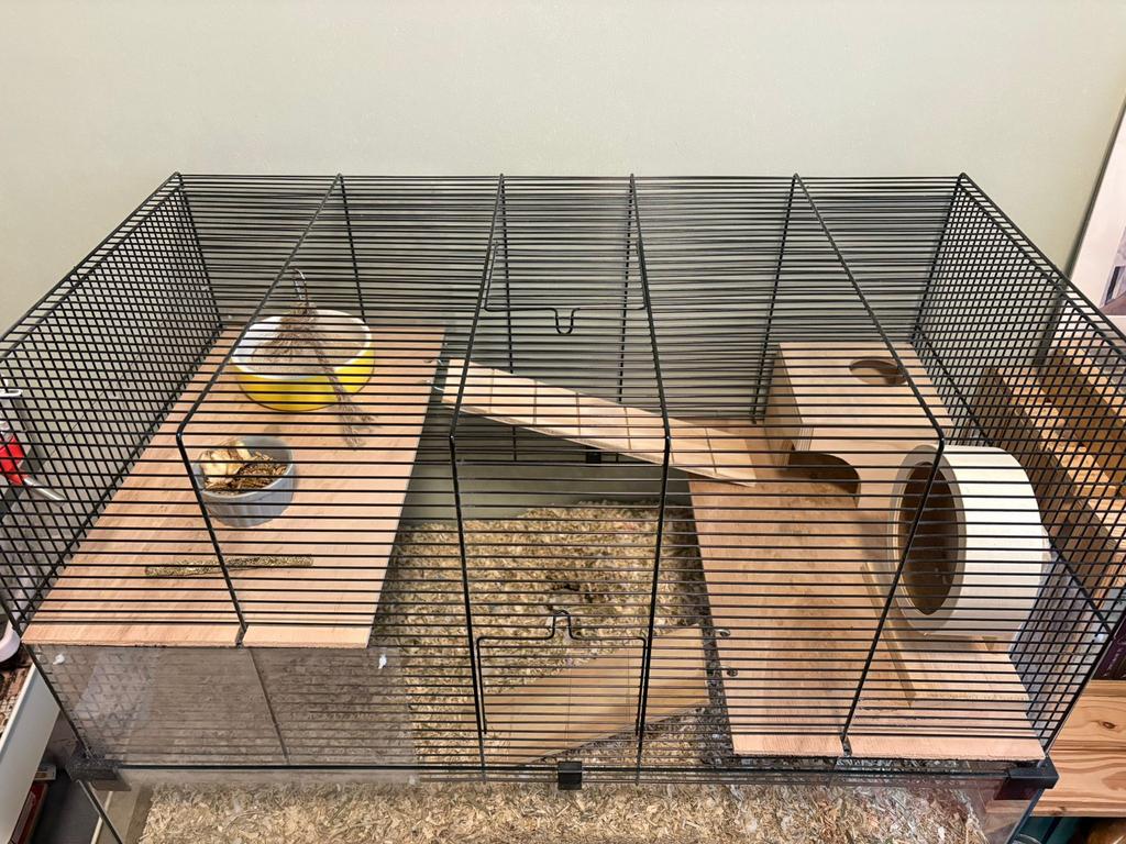 Gerbil (of hamster) hok, Gebruikt, 60 tot 90 cm, Minder dan 75 cm, Ophalen of Verzenden
