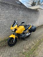Yamaha TDM 900, 2 cilinders, Motorrijbewijs A, 900 cc, Particulier