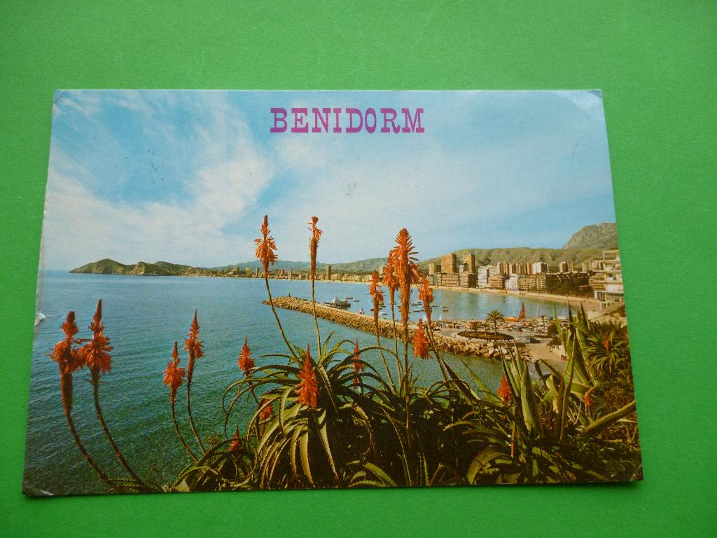 ansichtkaart Benidorm Puerto Spanje, Ophalen of Verzenden, 1980 tot heden, Gelopen, Spanje