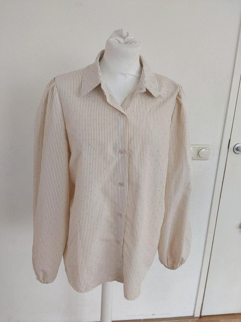 Prachtige blouse van G, Ricceri maat L met leuk glittertje., G. Ricceri, Ophalen of Verzenden, Zo goed als nieuw