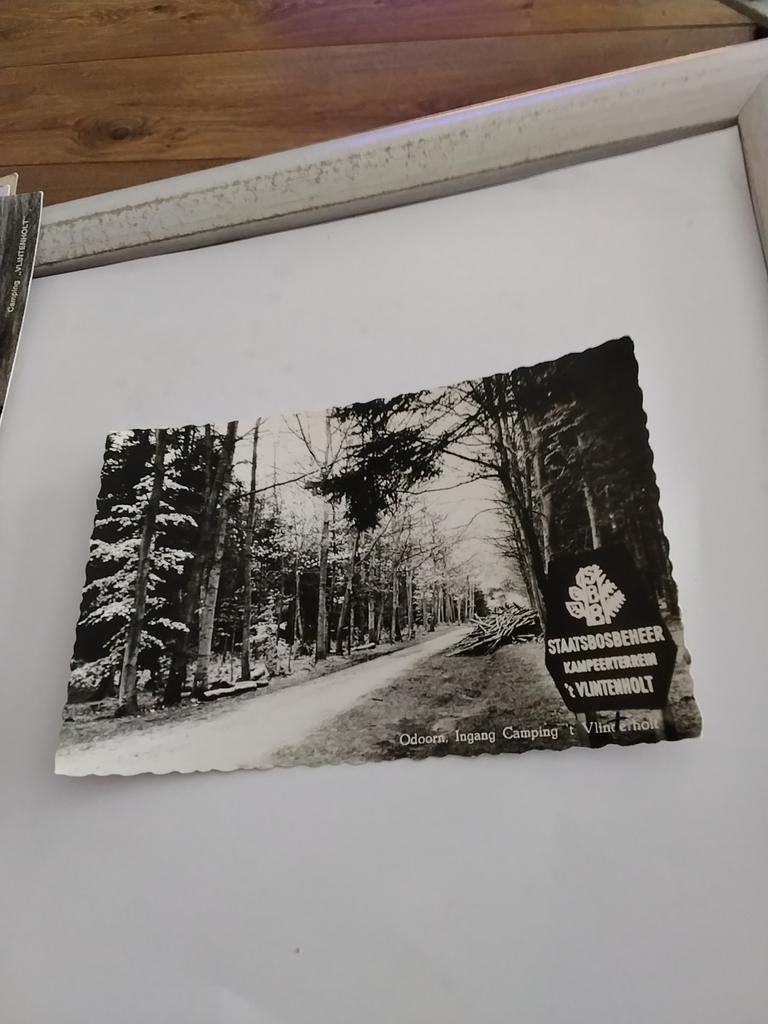 ODOORN. INGANG CAMPING 'T VLINTENHOLT, Verzamelen, Ophalen of Verzenden, 1960 tot 1980, Gelderland