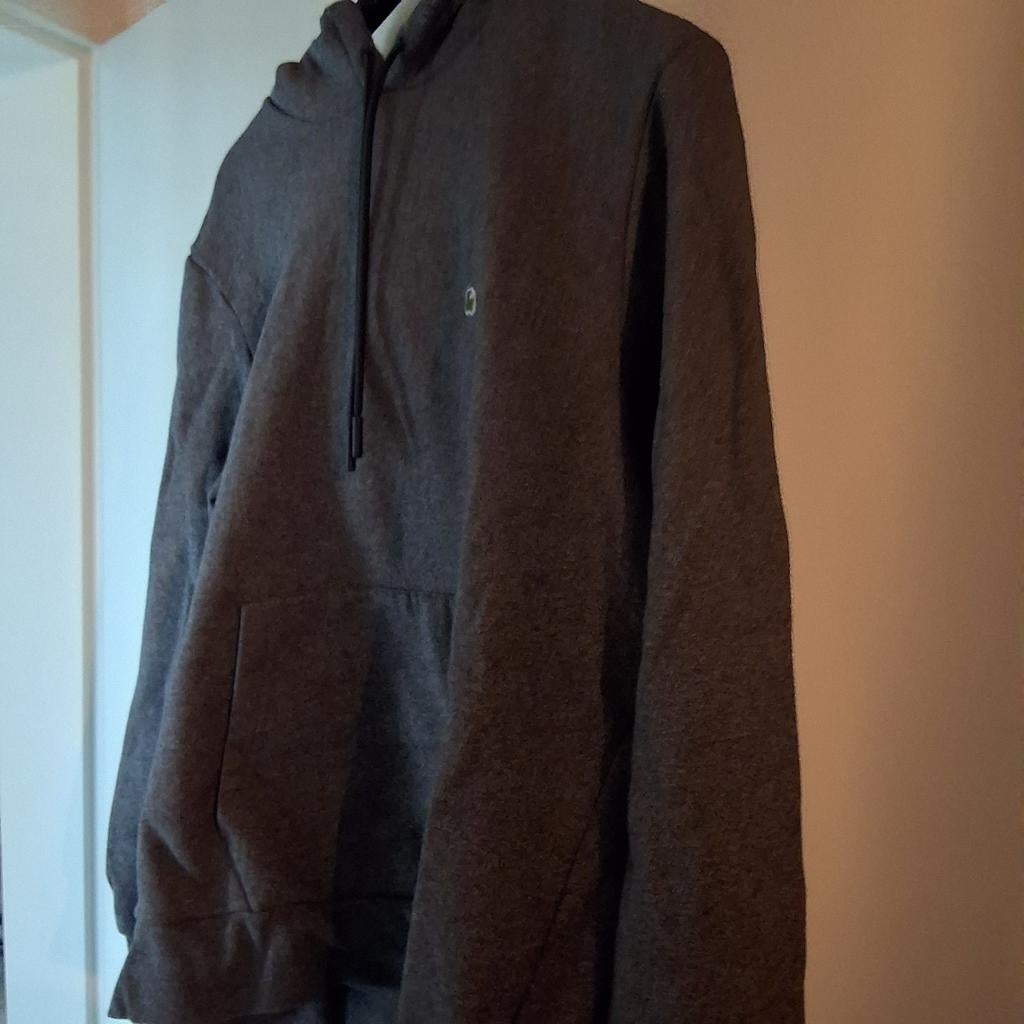 Lacoste heren hoodie, Kleding | Heren, Truien en Vesten, Maat 52/54 (L), Verzenden, Lacoste, Zo goed als nieuw