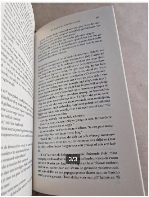 Donna Tartt - De kleine vriend h4, Wereld overig, Ophalen of Verzenden, Zo goed als nieuw, Donna Tartt