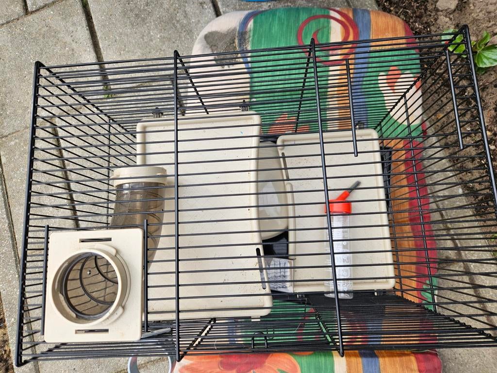 Hamsterkooi zwart, Dieren en Toebehoren, Knaagdieren, Maart, Meerdere dieren, Overige typen, Tam