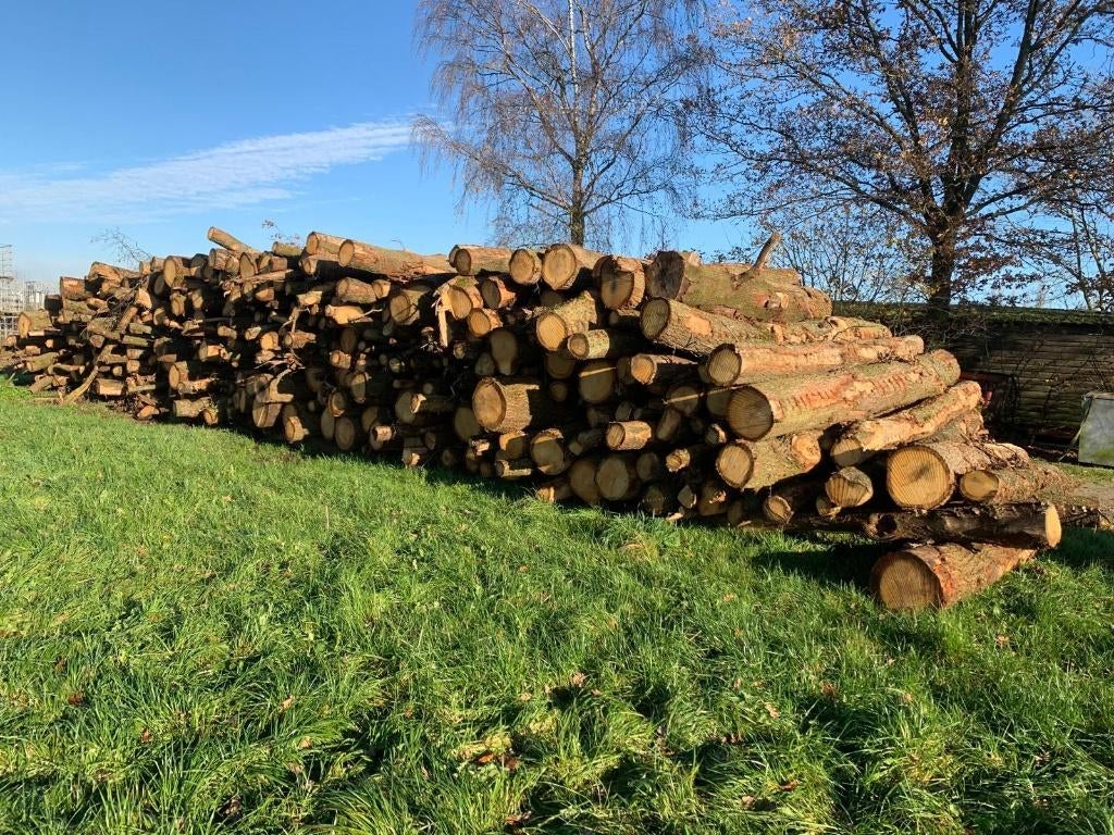 Stamhout Haardhout Eiken, 6 m³ of meer, Ophalen, Eikenhout, Stammen