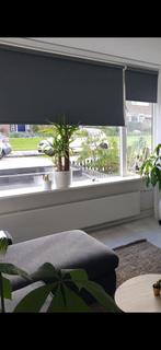 Verduisterend rolgordijn antraciet 75x205 cm, Ophalen, 200 cm of meer, 50 tot 100 cm, Zo goed als nieuw