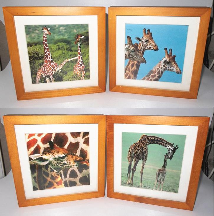 Giraffe 4 luik, Huis en Inrichting, Woonaccessoires | Schilderijen, Tekeningen en Foto's, Zo goed als nieuw, Foto of Poster, Minder dan 50 cm