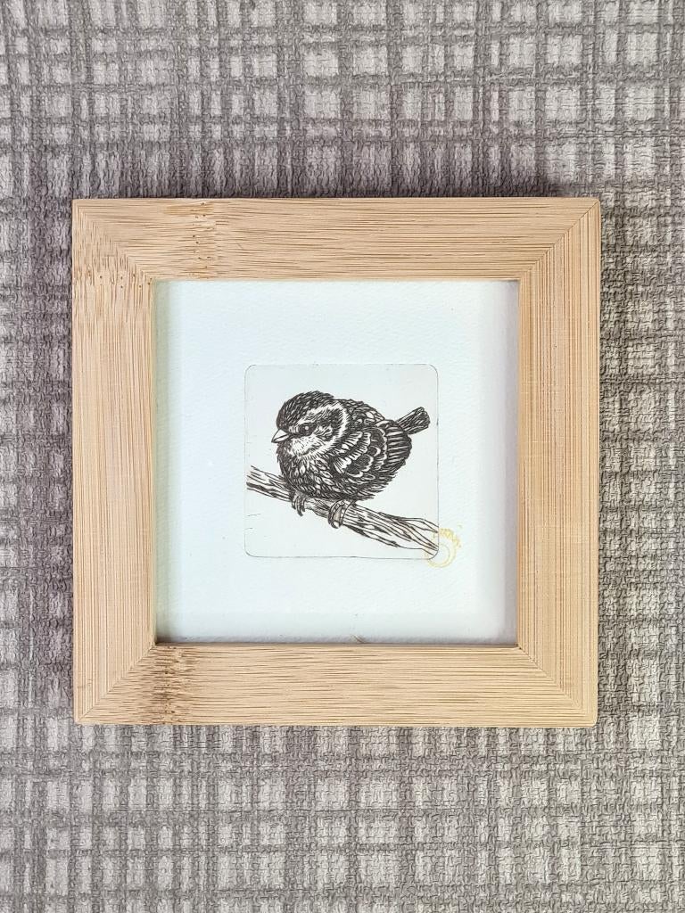 Ets van vogel, een musje, 10x10 cm, met bamboe lijst, Minder dan 50 cm, Oorspronkelijke maker, Nieuw, Ophalen of Verzenden