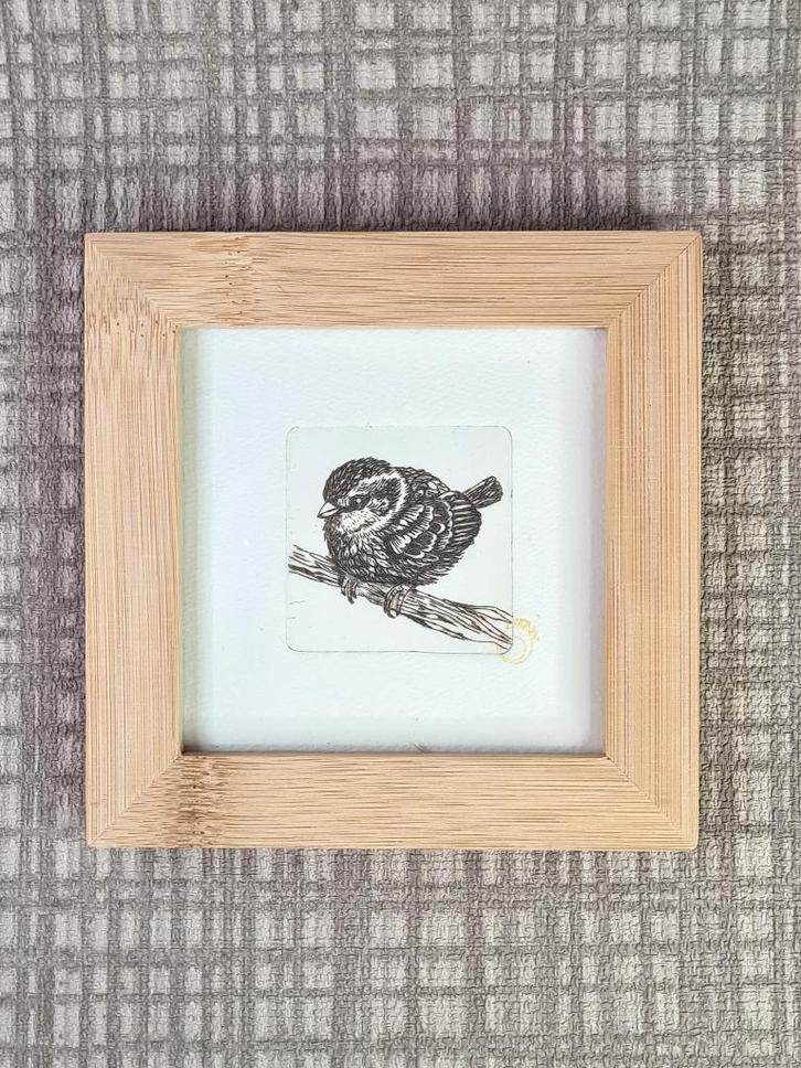 Ets van vogel, een musje, 10x10 cm, met bamboe lijst, Huis en Inrichting, Woonaccessoires | Schilderijen, Tekeningen en Foto's