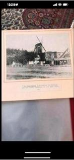 Oude foto Oliemolen 'de Oranjeboom' Zaandam, gesloopt 1938, Antiek en Kunst, Ophalen of Verzenden
