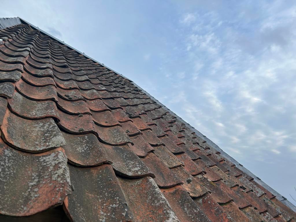 Gebruikte oud Hollandse dakpannen, Gebruikt, Steen of Klei, Ophalen of Verzenden, 15 m² of meer