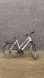 Damesfiets Pegasus Piazza met schijfremmen in topconditie, Versnellingen, 56 cm of meer, Zo goed als nieuw, Ophalen