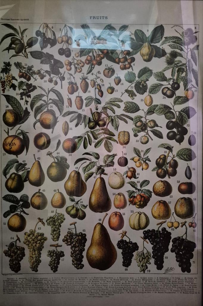 4 Vintage posters, Ophalen, Deurposter of groter, Dier of Natuur, Rechthoekig Staand