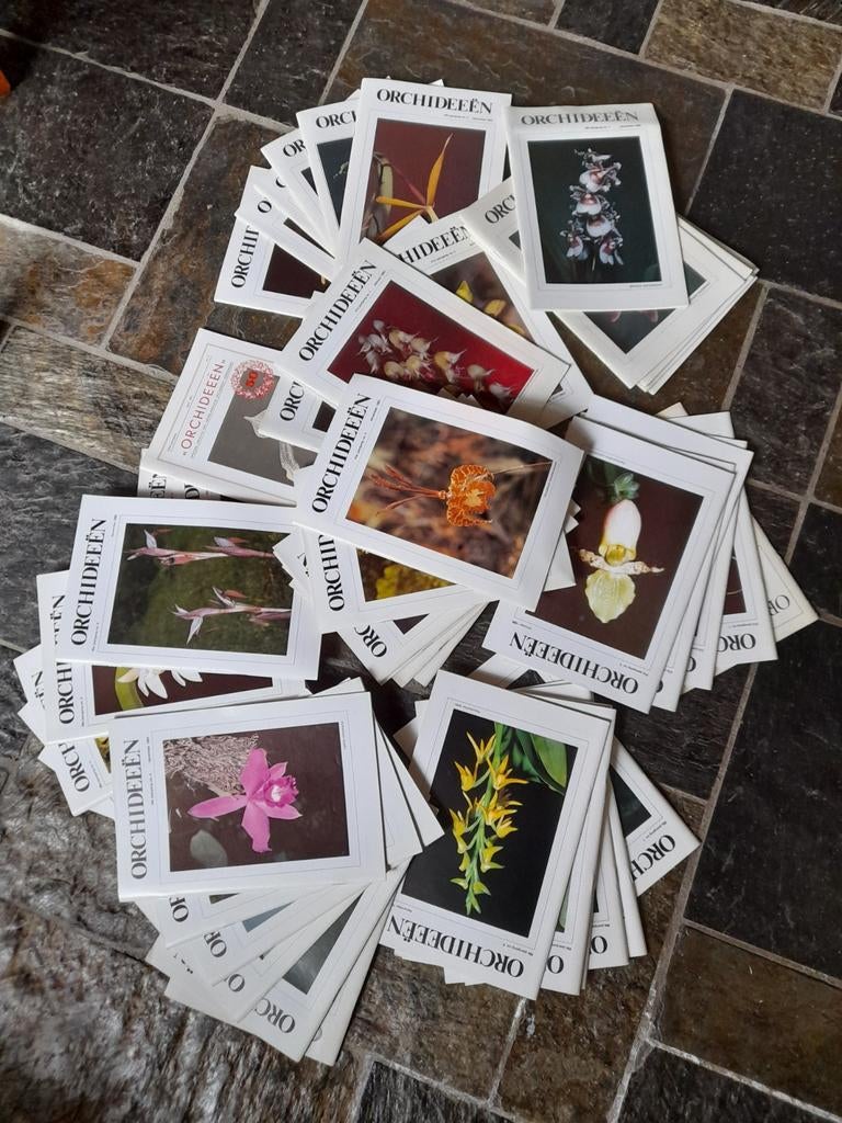 Orchideeën tijdschriften van 1981 tot 1986, Ophalen of Verzenden, Gelezen