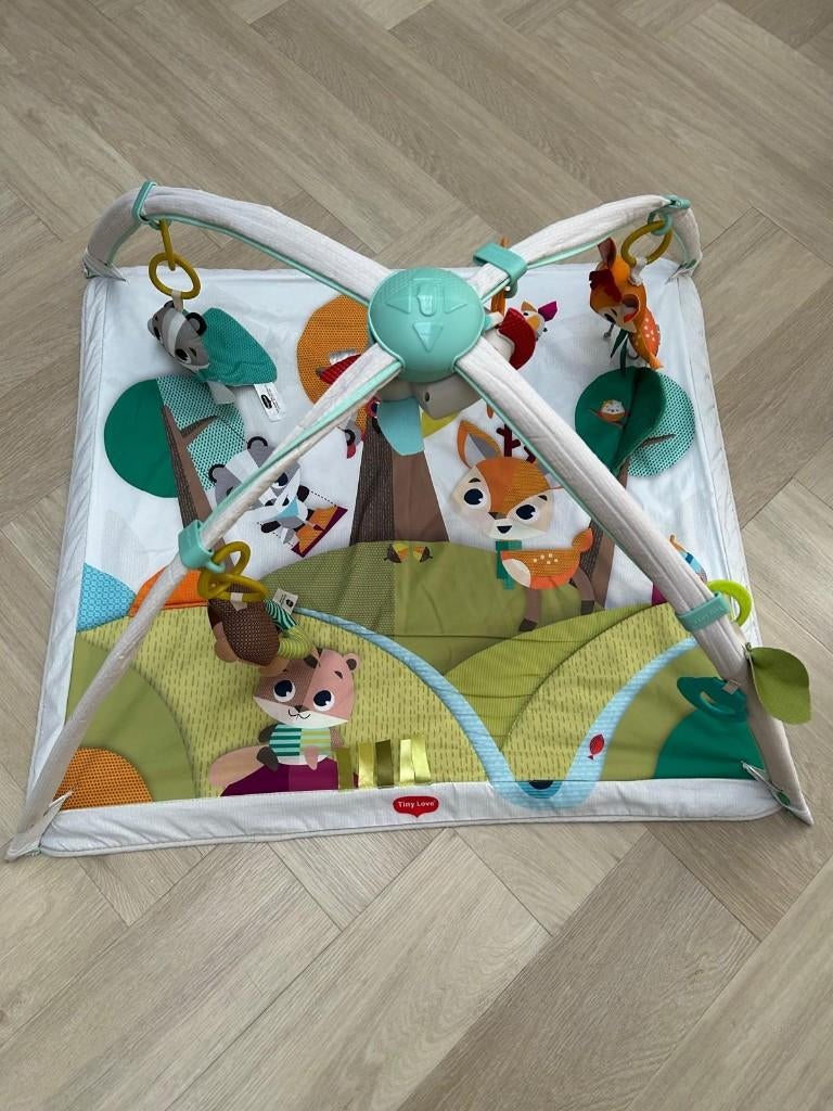Tiny Love Babygym Gymini Deluxe thema bos, Ophalen, Zo goed als nieuw, Babygym, Met licht