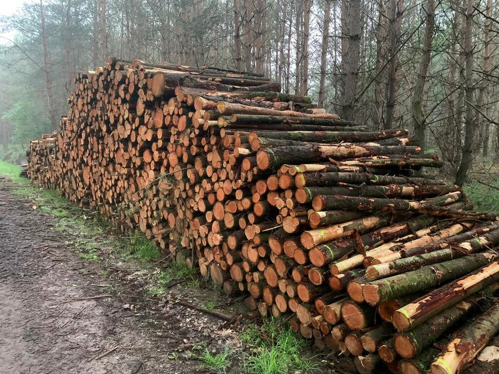 Stammen brandhout douglas, Tuin en Terras, Haardhout, Ophalen of Verzenden