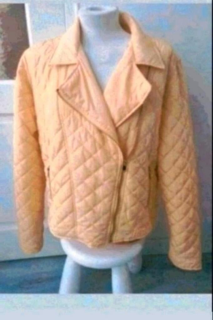 Pescara geel jas, Kleding | Dames, Geel, Maat 46/48 (XL) of groter, Pescara, Ophalen of Verzenden