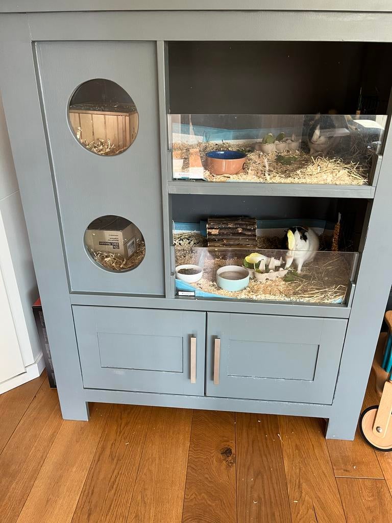 Wie wil onze 2 Cavia’s een goed huisje geven?, Ophalen, 110 cm of meer, 90 cm of meer, Hok