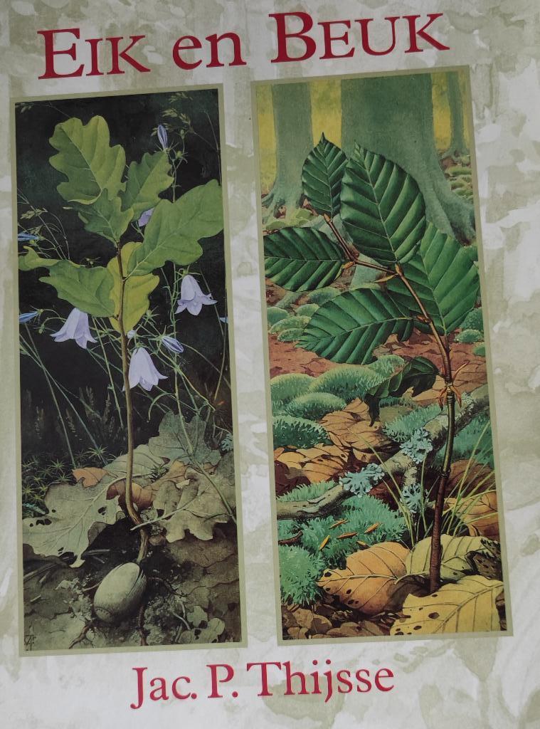 725 Mooi boek Eik en Beuk, Boeken, Natuur, Ophalen of Verzenden, Zo goed als nieuw, Natuur algemeen, Jac. P. Thijsse