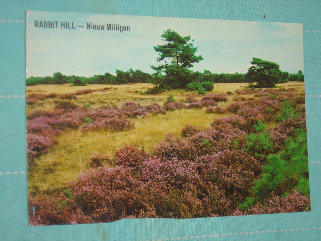 5) kleuren ansichtkaart Robbit Hill Nieuw Milligen, Ophalen of Verzenden, 1980 tot heden, Gelopen, Gelderland