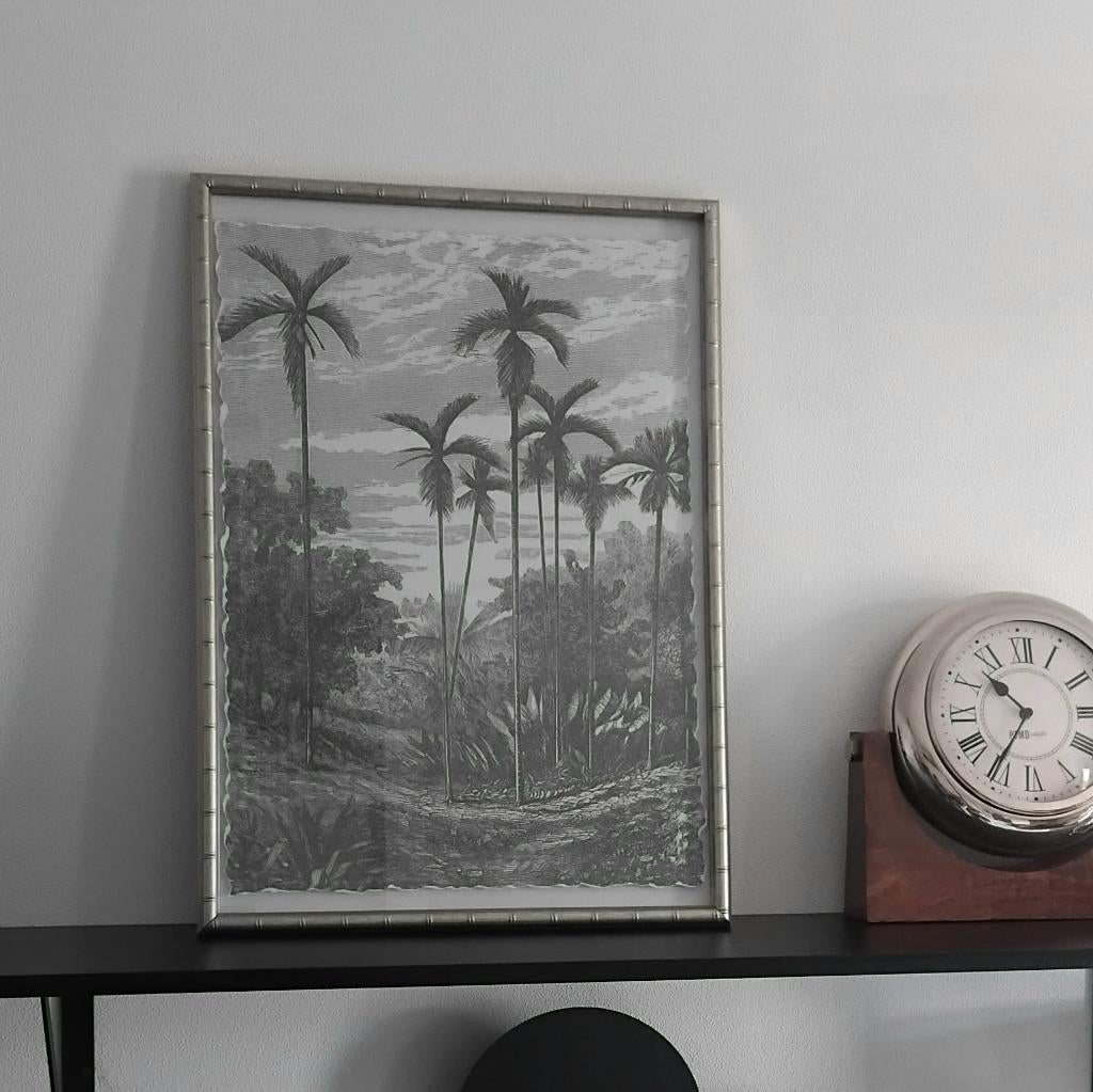 Palmbomen tropisch exotisch print schilderij, Ophalen, 50 tot 75 cm, 50 tot 75 cm, Print