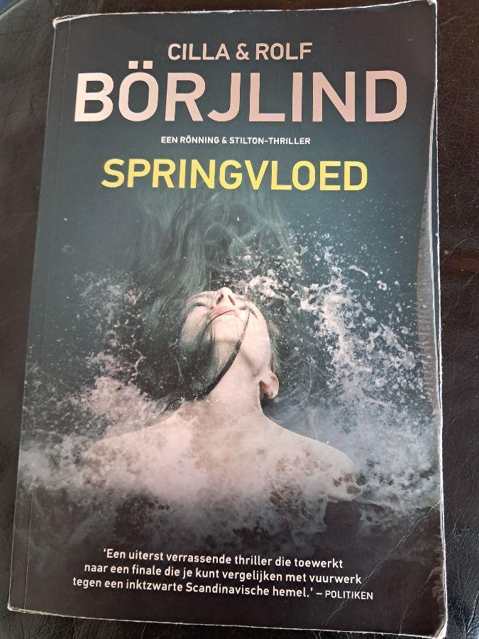 3x Cilla& Rolf Borjlind/bevroren goud,springvloed, samaritaa, Boeken, Ophalen of Verzenden, Gelezen