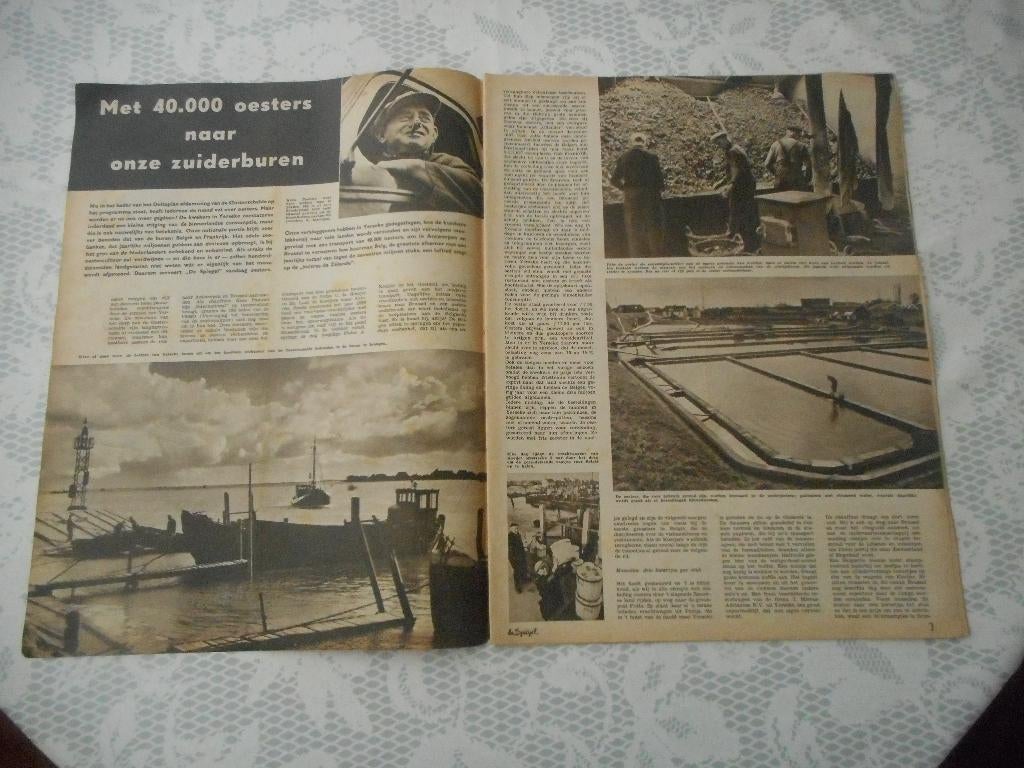 Yerseke. Deltawerken. Oesters naar zuiderburen. 1958., Ophalen of Verzenden, 1940 tot 1960, Nederland, Knipsel(s)