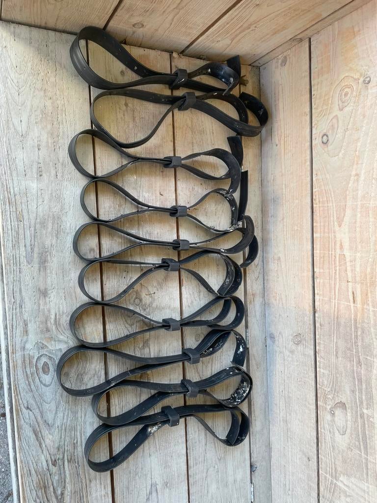 10 x boomband rubber, Bloeit niet, Halfschaduw, Minder dan 100 cm, Overige soorten