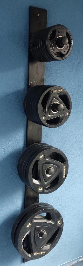 Hastings gewichtenset, Ophalen, Zo goed als nieuw, Armen, Halterschijven