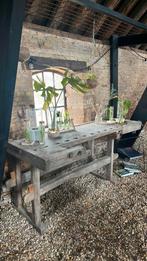 Vintage houten werkbank, side-table, dressoir, Ophalen, Zo goed als nieuw, Hout