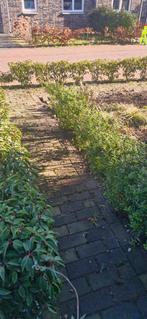 Gratis Antraciet Betonklinkers - 9 m2, Tuin en Terras, Tegels en Klinkers, Gebruikt, Klinkers, Beton, 5 tot 10 m²