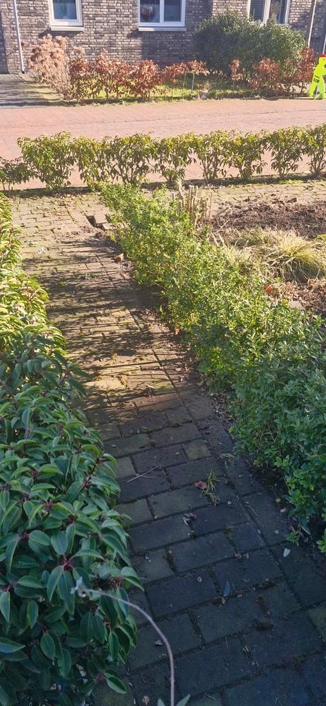 Gratis Antraciet Betonklinkers - 9 m2, Tuin en Terras, Tegels en Klinkers, Gebruikt, Klinkers, Beton, 5 tot 10 m², Ophalen of Verzenden