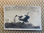 Paris 27-7-1904 Ooievaar met baby in nest, Verzamelen, Ansichtkaarten | Themakaarten, Ophalen of Verzenden, Voor 1920, Gelopen