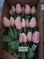 Real Touch tulpen Countryfield 2 bosjes €10,00, Binnen, Helenelivingstyle@gmail.com, 7531TJ, Nieuw