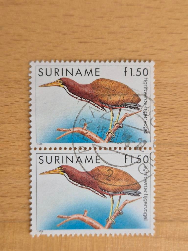 Suriname 1985 vogel, Postzegels en Munten, Postzegels | Suriname, Ophalen of Verzenden, Gestempeld
