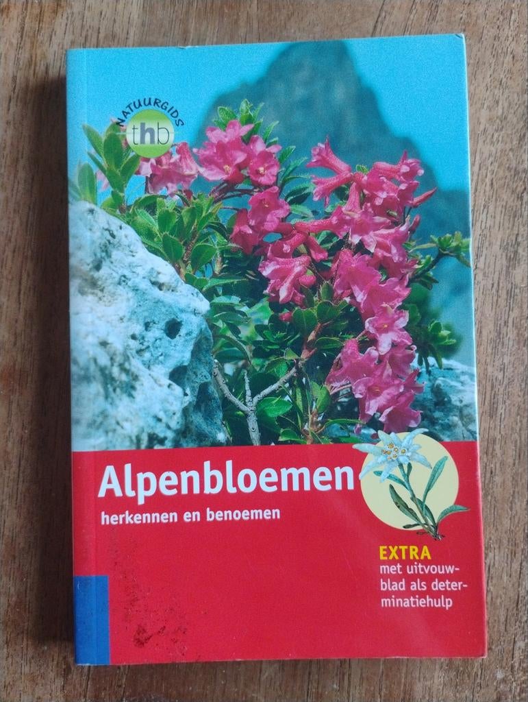 Alpenbloemen: herkennen en benoemen - Natuurgids, Boeken, Bloemen, Planten en Bomen, Ophalen of Verzenden, Zo goed als nieuw, Gunter Steinbach