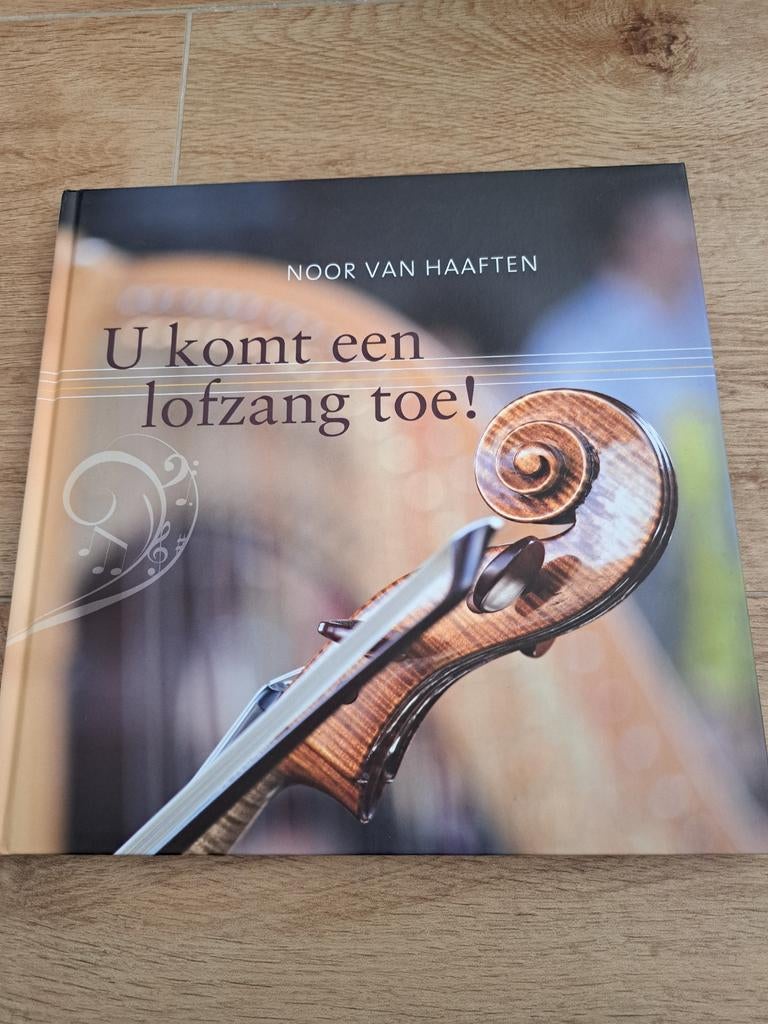U komt een lofzang toe! - Noor van Haaften, Boeken, Ophalen of Verzenden, Zo goed als nieuw, Noor van Haaften, Christendom | Katholiek